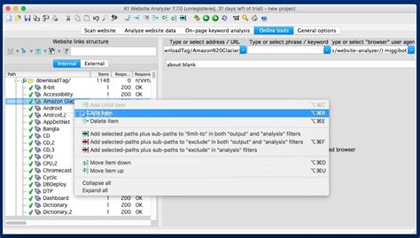 MicroSys A1 Website Analyzer